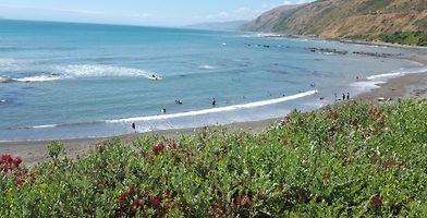 https://beachfront-30mins-from-wellington.wellingtonnzhotels.com