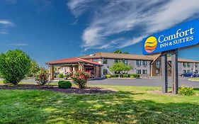 Comfort Inn&Suites West Springfield Exterior photo