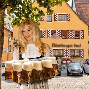 Hotel Nuernberger Hof In Altdorf ****