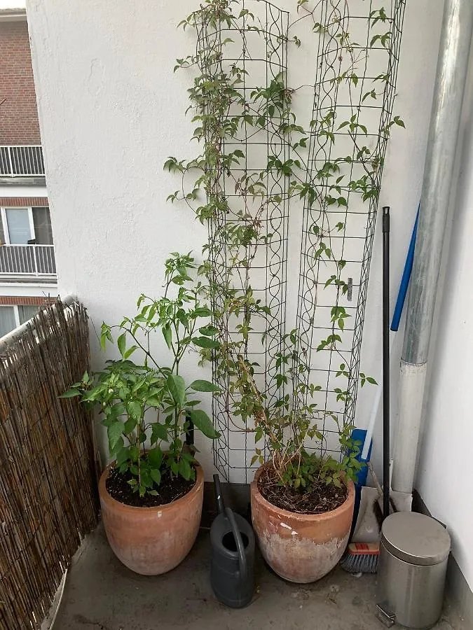 Zentrales Apartement Bremen Apartment Germany